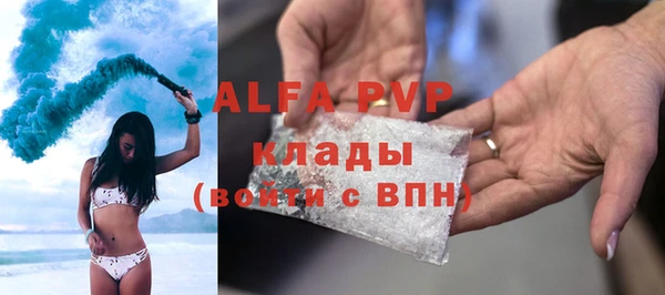прущие грибы Кукмор
