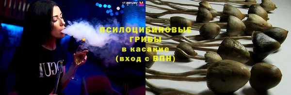 прущие грибы Кукмор