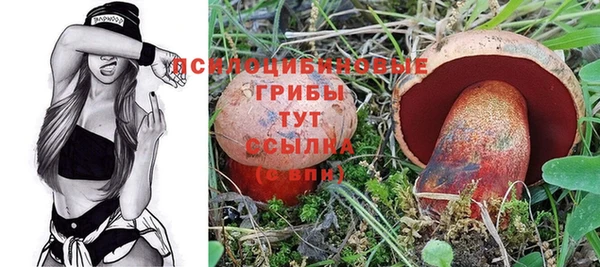 ECSTASY Кулебаки