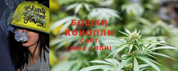 прущие грибы Кукмор