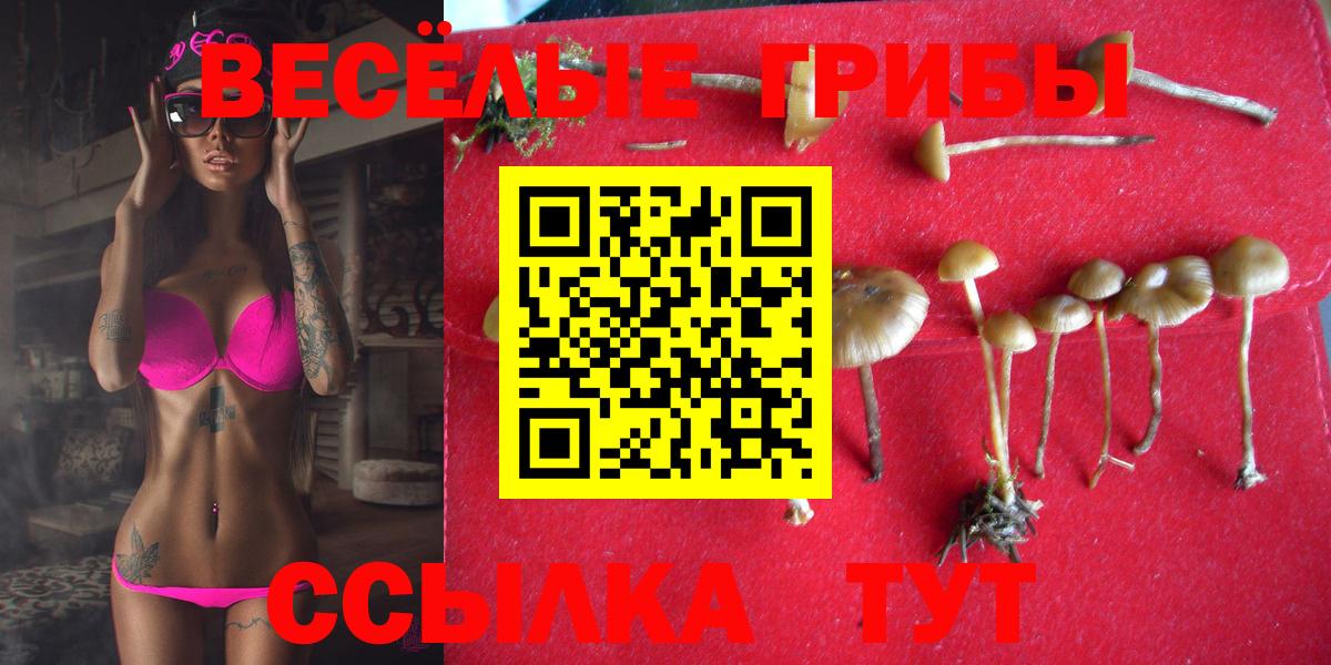 Псилоцибиновые грибы GOLDEN TEACHER  Галлюциногенные грибы MAGIC MUSHROOMS  Троицк  Вход с VPN 